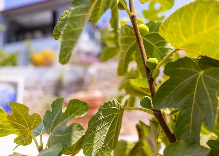 Agach Aparts-savran Villa Milas