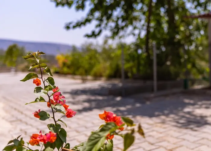 فيلة Agach Aparts-savran Milas