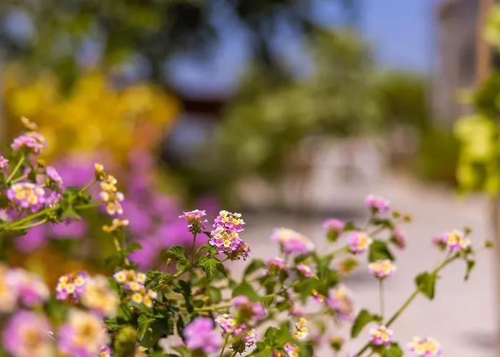 Agach Aparts-savran فيلة Milas