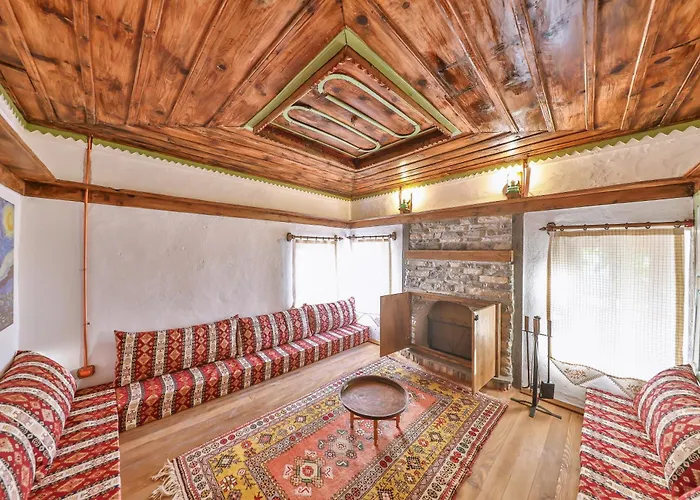 Agach Aparts-savran * Milas