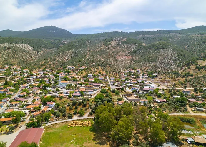 Agach Aparts-savran *