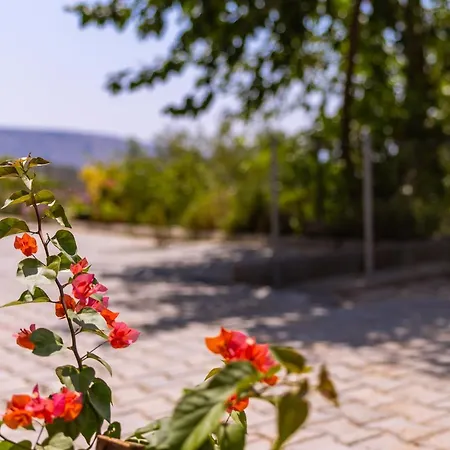 빌라 Agach Apartments-Milas-Bodrum Airport Bjv Milas
