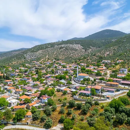 Agach Aparts-savran * Milas