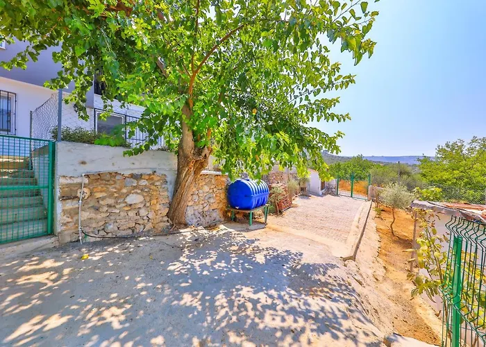 Vila Agach Aparts-savran