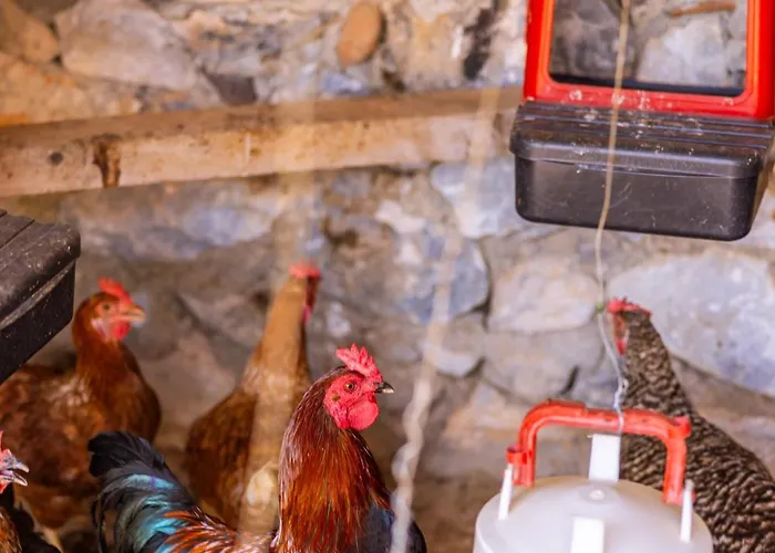 Vilă Agach Aparts-savran Milas