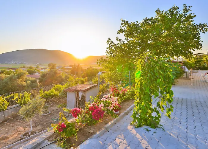 Agach Aparts-savran * Milas