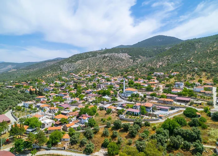 Agach Aparts-savran * Milas